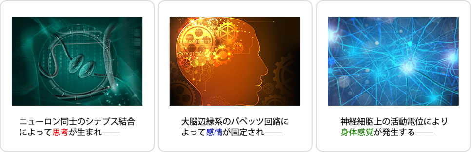 ニューロン同士のシナプス結合によって思考が生まれ--大脳辺縁系のパペッツ回路によって感情が固定され--神経細胞上の活動電位により身体感覚が発生する--