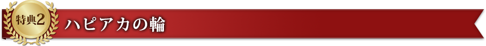 特典2　ハピアカの輪