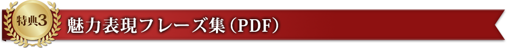 特典3　魅力表現フレーズ集