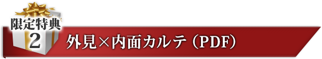 限定特典２ 外見×内面カルテ