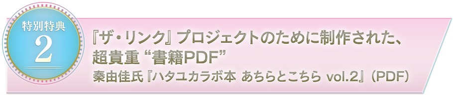 80/20クロス 秦由佳氏講座、ザ・リンク - 通販 - www.drelciopiresjr