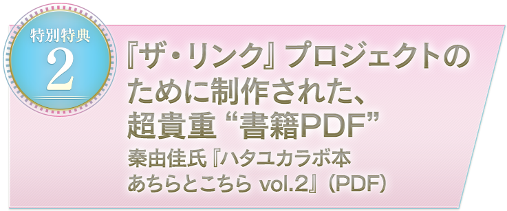 ザ・リンク』プロジェクト