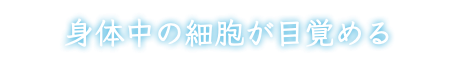 身体中の細胞が目覚める